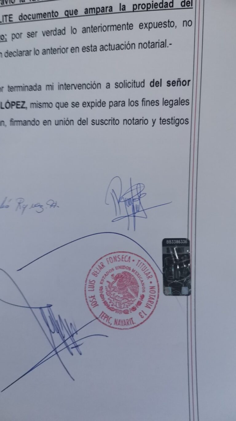 24894 notaria publica 13 768x1365