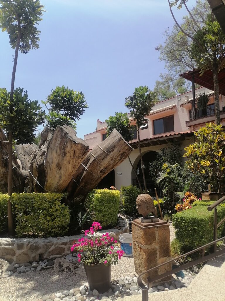 24903 notaria dos 768x1024