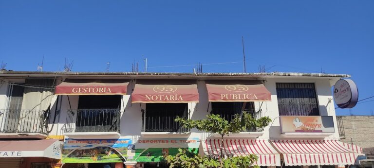 24923 notaria publica 95 768x346