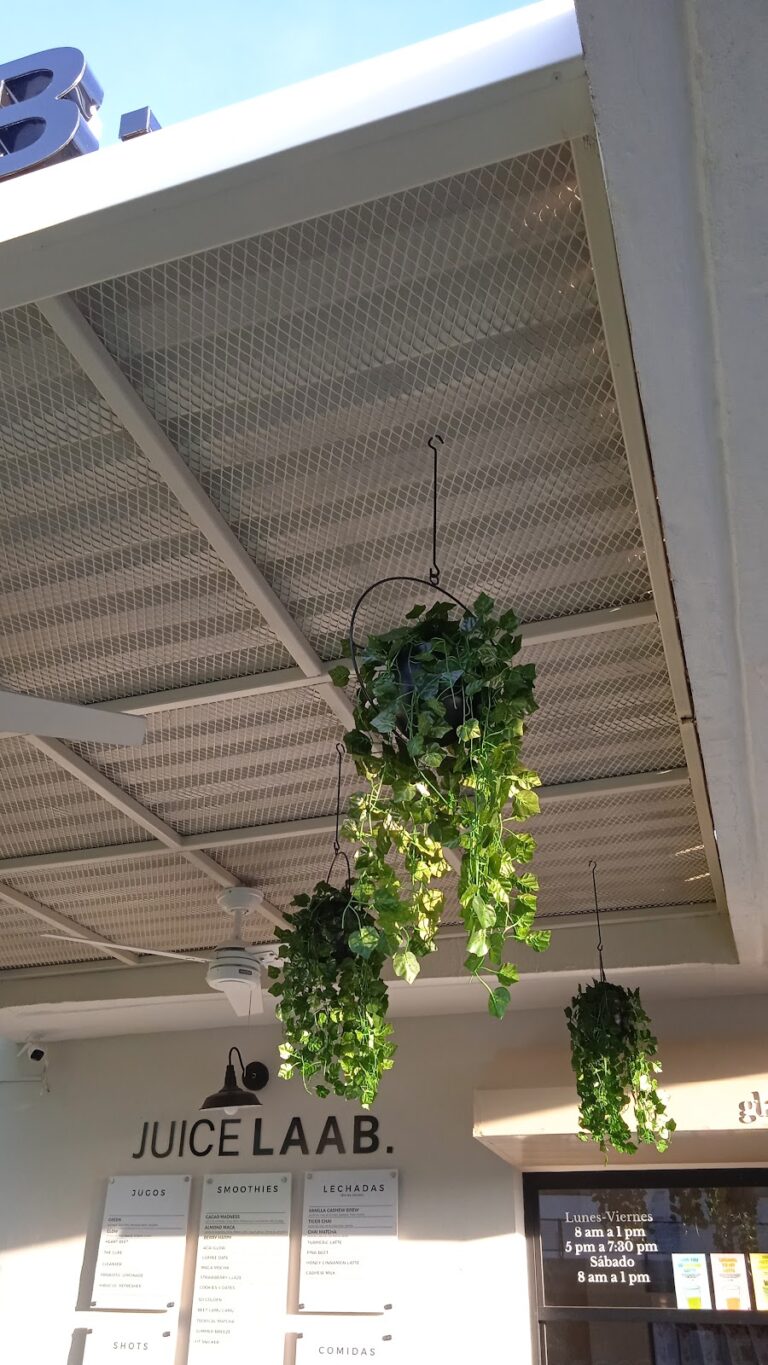 25000 notaria publica 27 768x1365