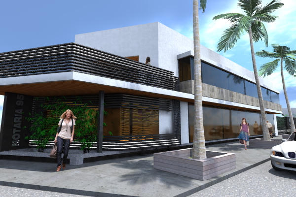 25006 notaria publica n°95