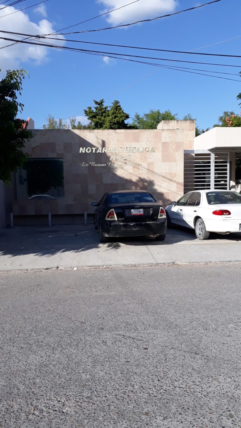 25049 notaria publica numero 43 768x1365