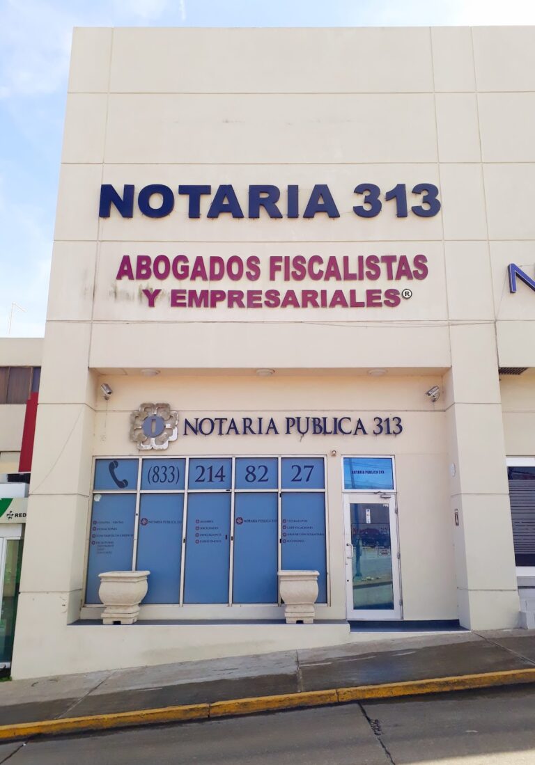 25059 notaria publica n° 313 768x1099