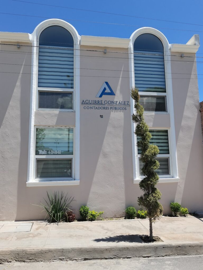 25680 aguirre gonzalez escamilla contadores publicos s.c 768x1024
