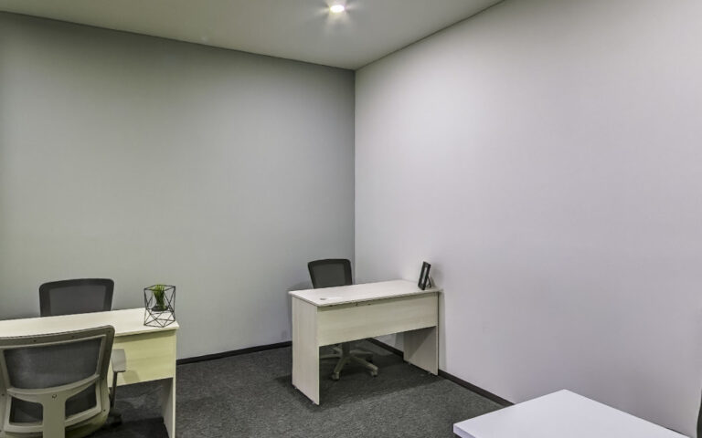 25725 contadores fiscalistas asesores de negocios leon 768x480