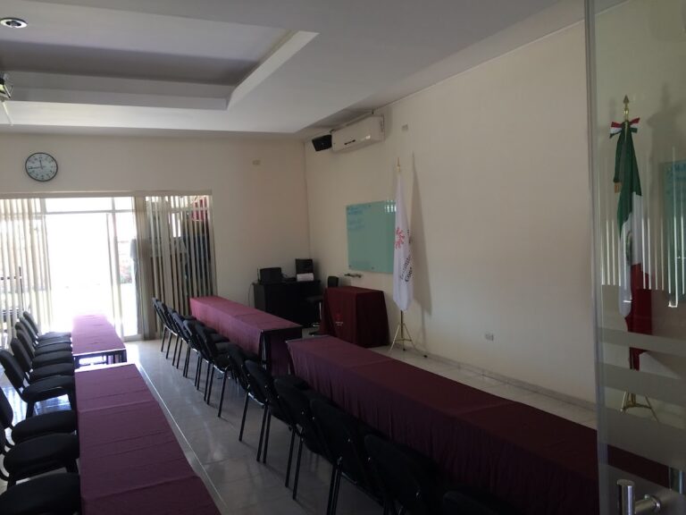 25737 colegio de contadores publicos de celaya a. c 768x576