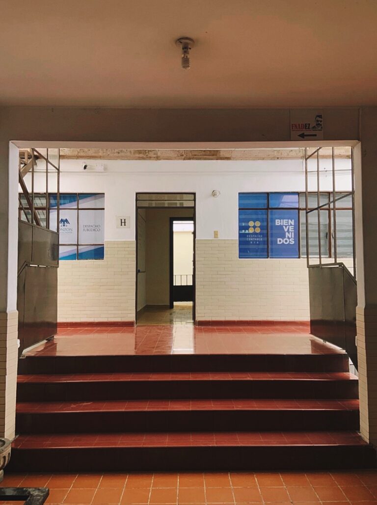 25805 contadores ronzon fiscalistas 768x1029