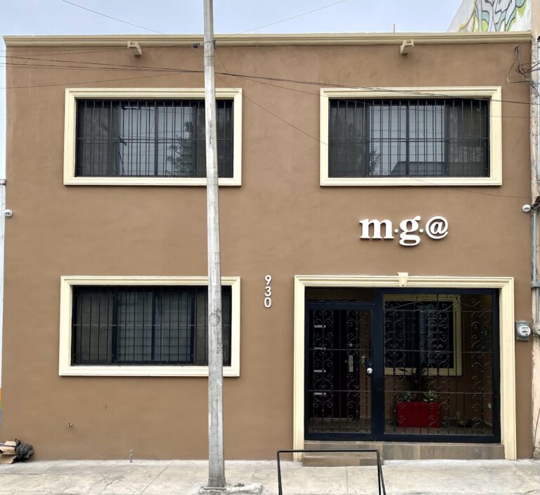 25851 mga contadores publicos y auditores 768x704