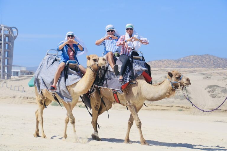 26031 cabo premiere tours 768x512