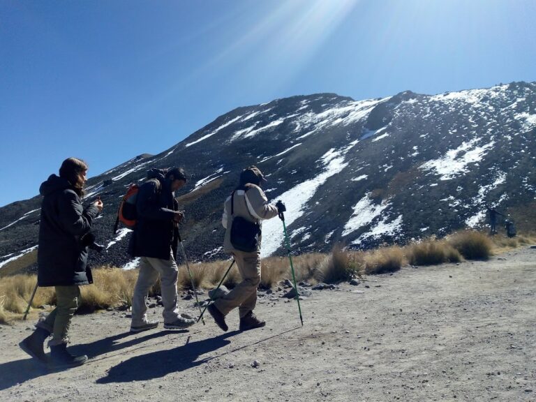 26188 viajes quality chilpancingo 768x576