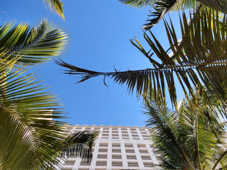 26266 viajes miranda 768x576