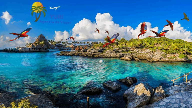 26293 agencia de viajes yuri 768x432