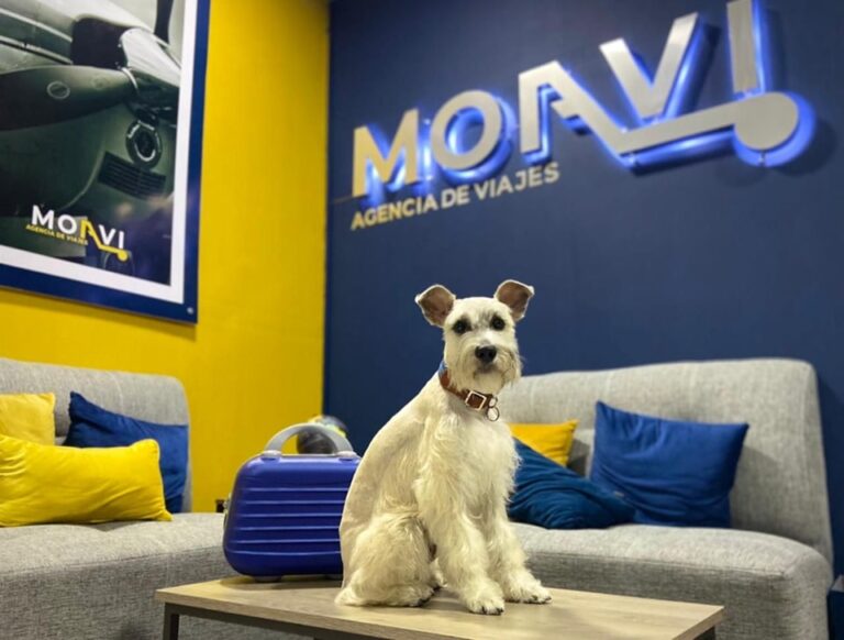 26308 moavi agencia de viajes 768x582