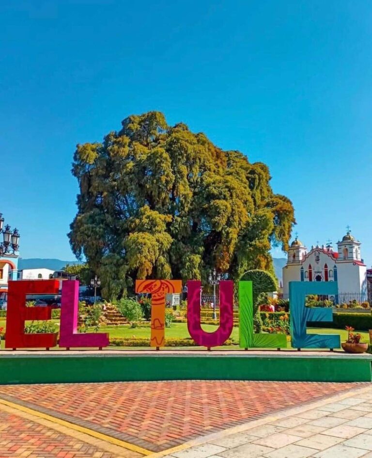 26336 tour y viajes oaxaca 768x944