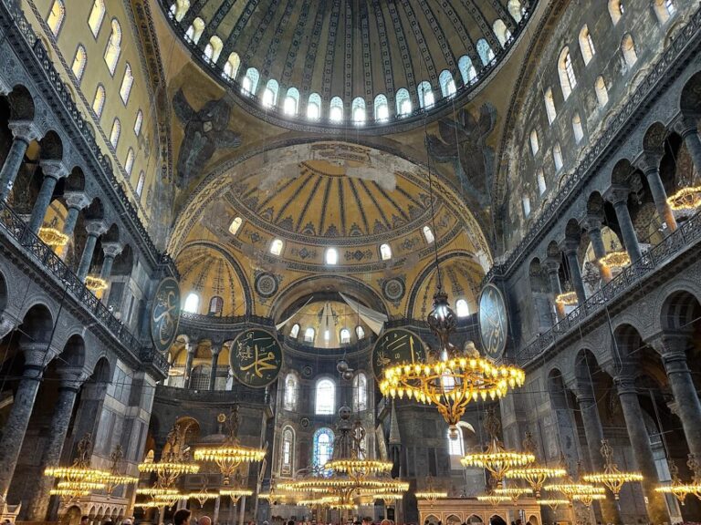 26449 iris tours 768x576