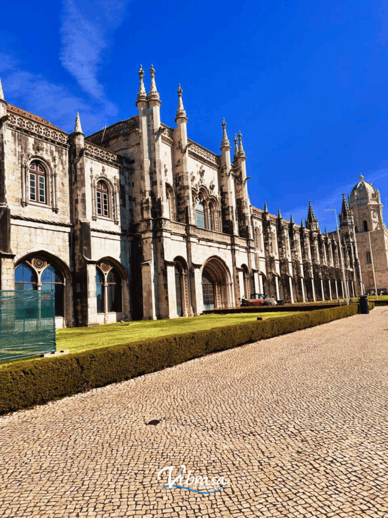 26460 vibrasa 768x1024