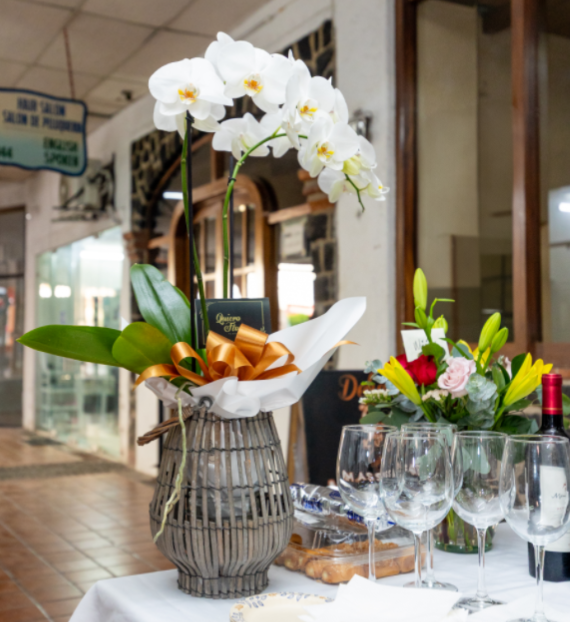 26719 blanca arellano seguros ahorro y retiro en puerto vallarta