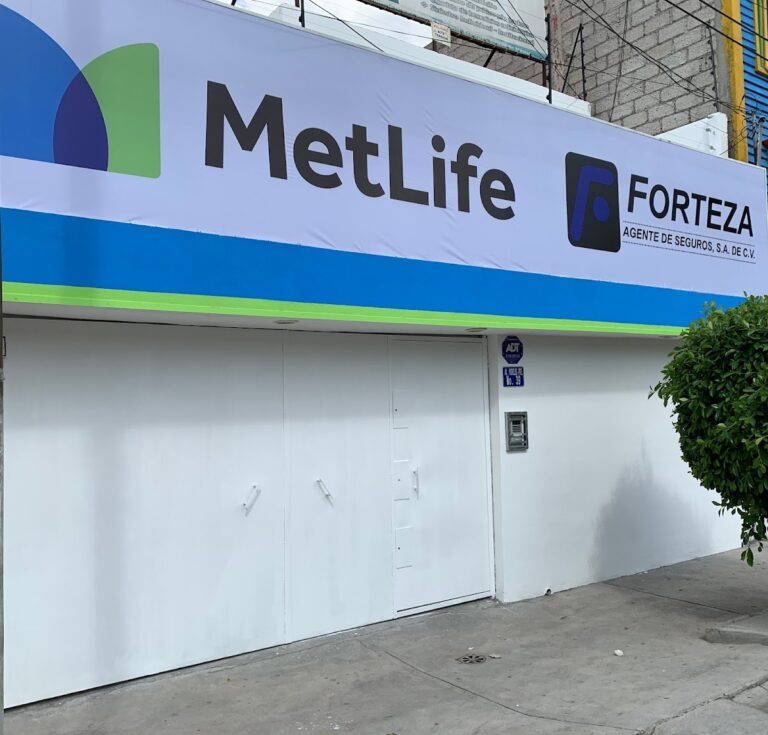 26842 forteza agente de seguros s.a. de c. v 768x735