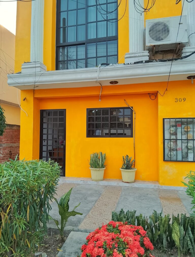 27004 gnp seguros 768x1008