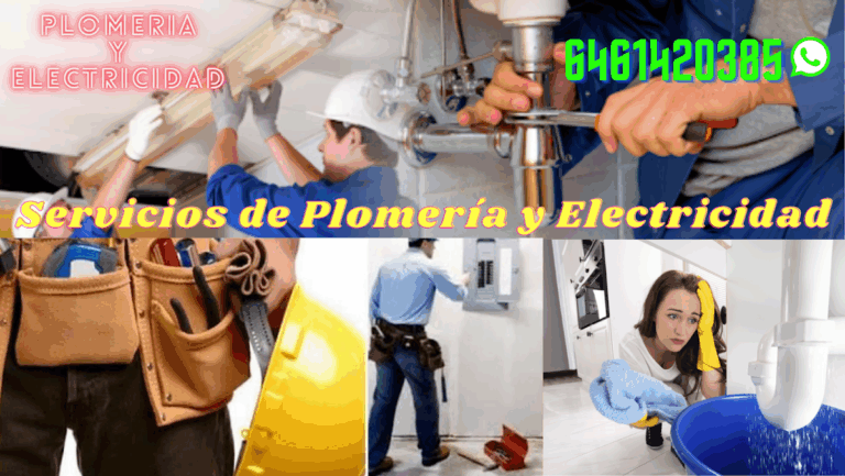 27051 servicio de paqueteria y mensajeria ensenada 768x433