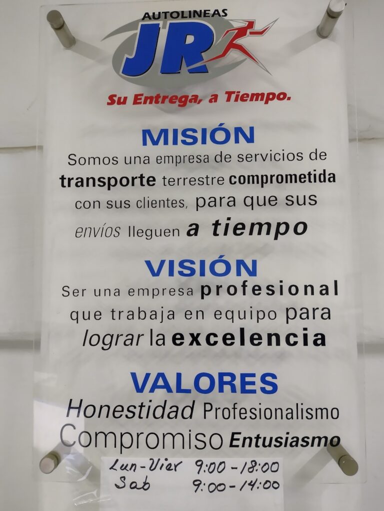 27167 jr paqueteria irapuato 768x1023