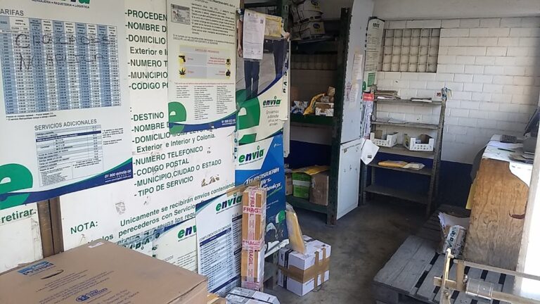 27221 paqueteria envia 768x432