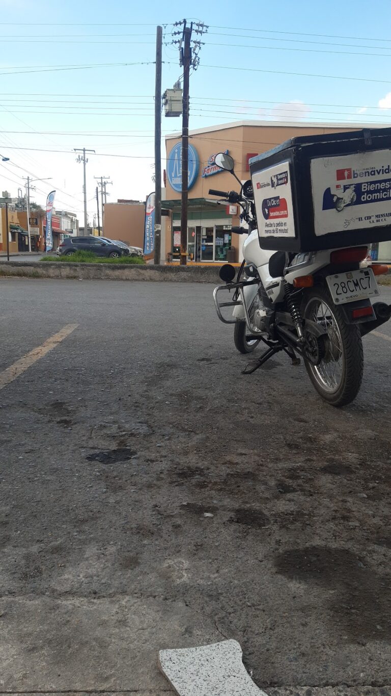 27323 mensajeria el cid 768x1365