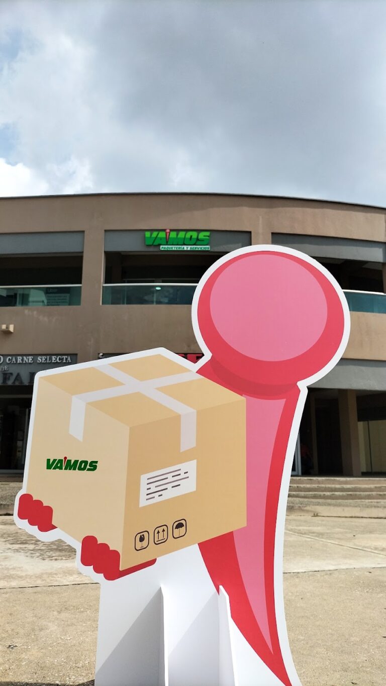 27434 vamos paqueteria y servicios villahermosa 768x1365