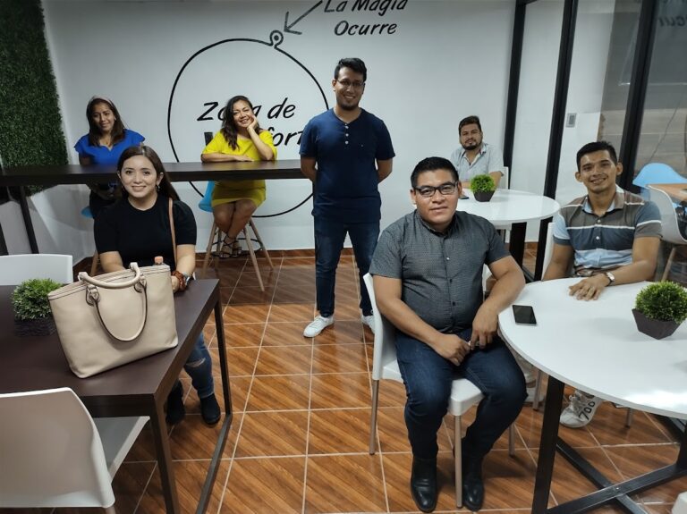 27571 omnistar 768x575