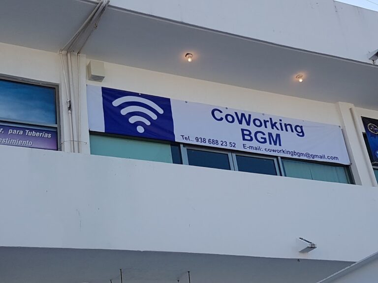 27577 coworking bgm 768x576