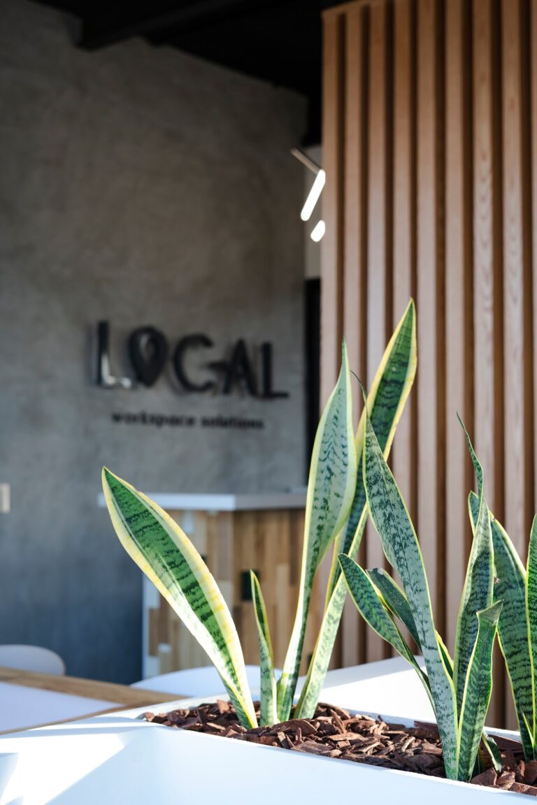 27632 local workspace solutions 768x1152