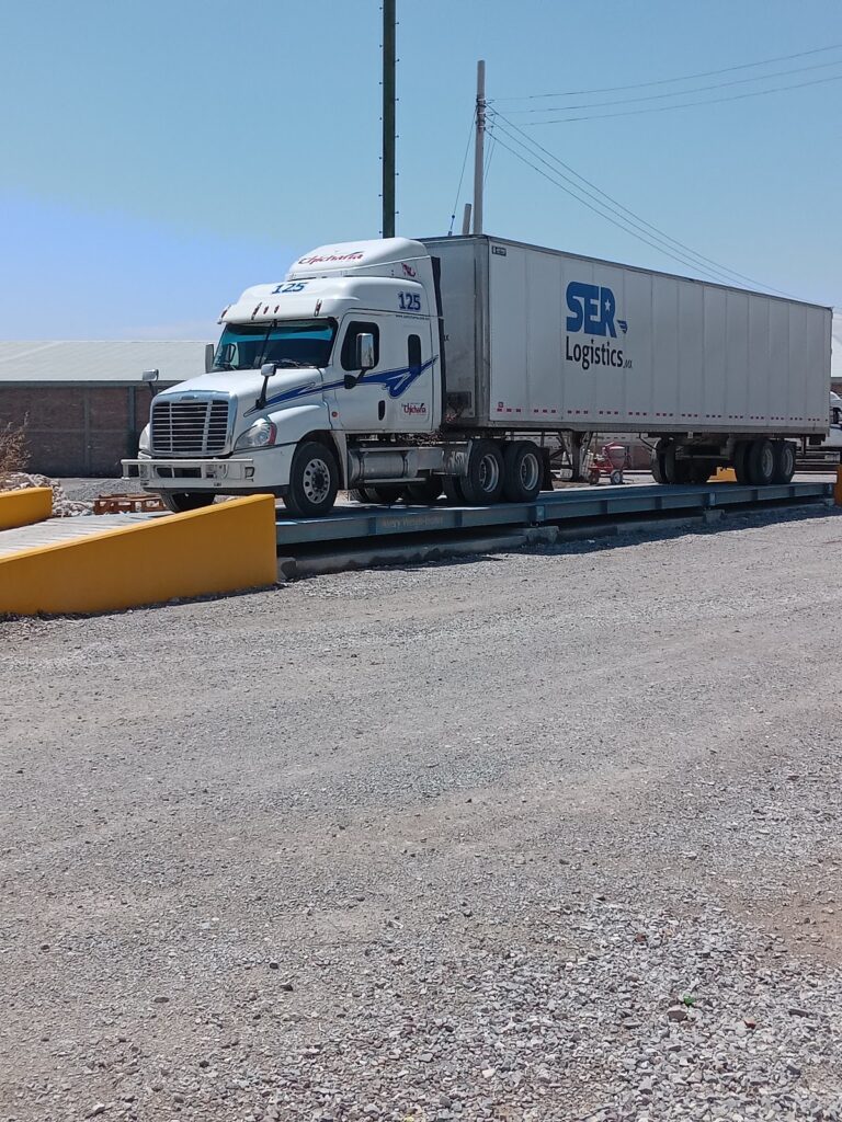 27678 amsa gomez palacio 768x1024