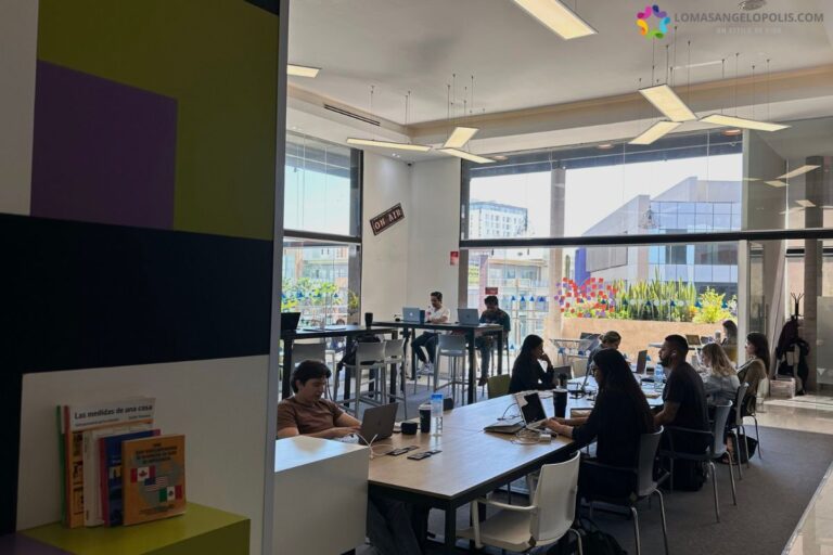 27821 sonata cowork 768x512