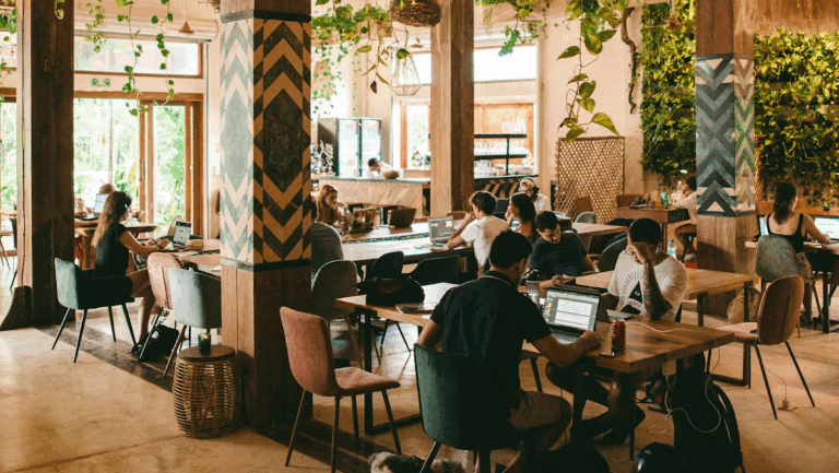 27835 digital jungle 768x433