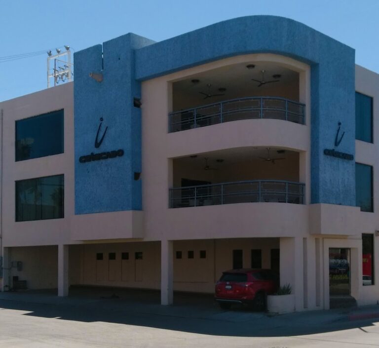 28013 cetecabo csl 768x705