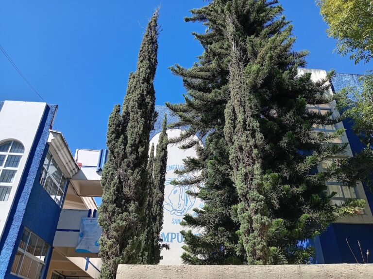 28044 escuela de lenguas universidad autonoma de chiapas 768x576