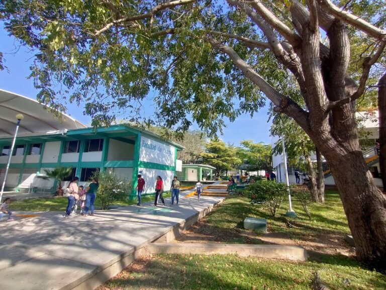 28089 facultad de lenguas extranjeras flex 768x576