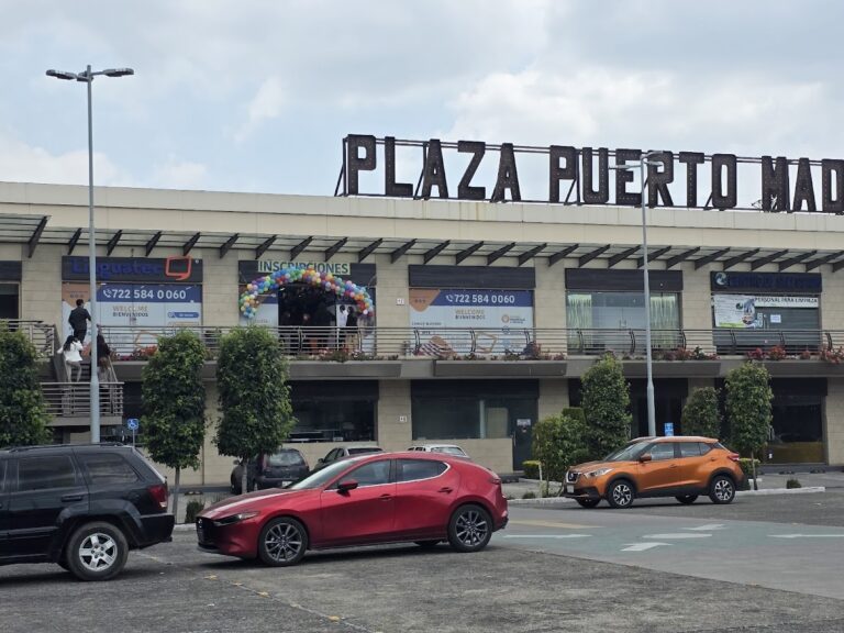 28174 linguatec toluca 768x576