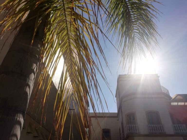 28186 instituto cultural mexicano norteamericano de jalisco 768x576