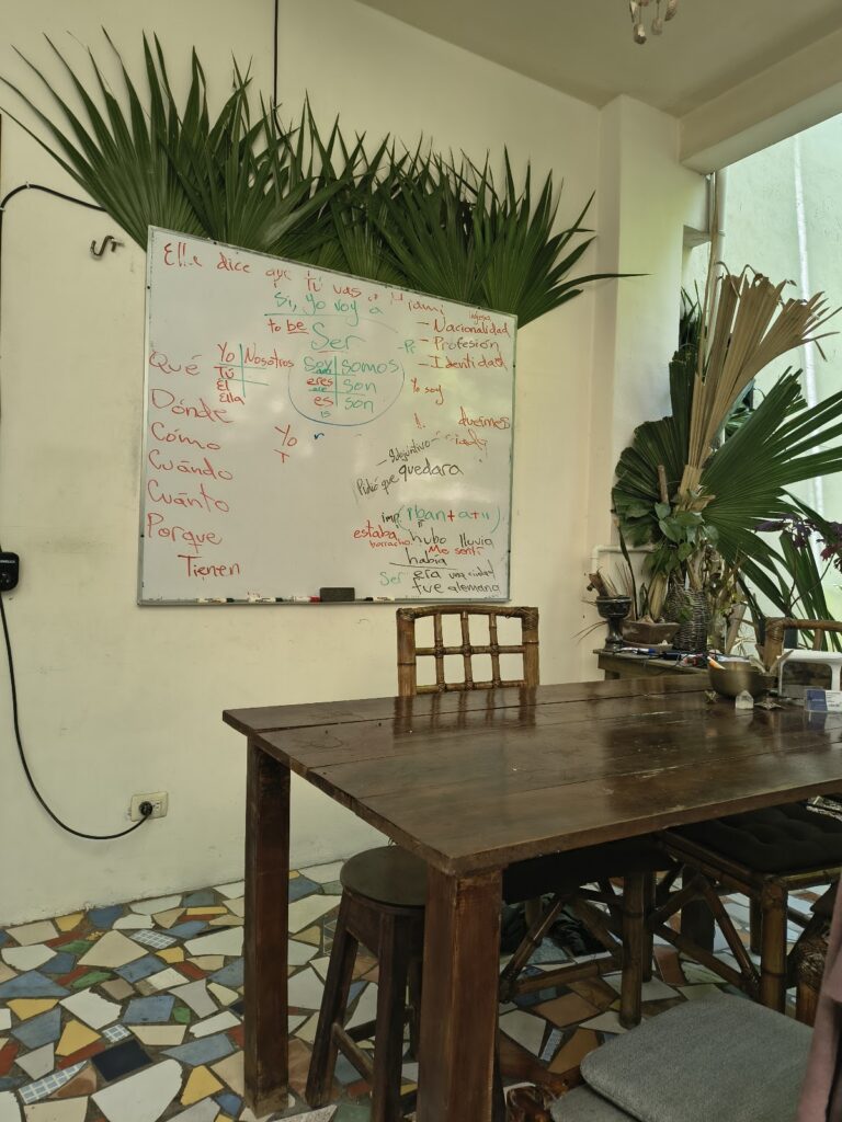 28371 spanish lab tulum school 768x1024