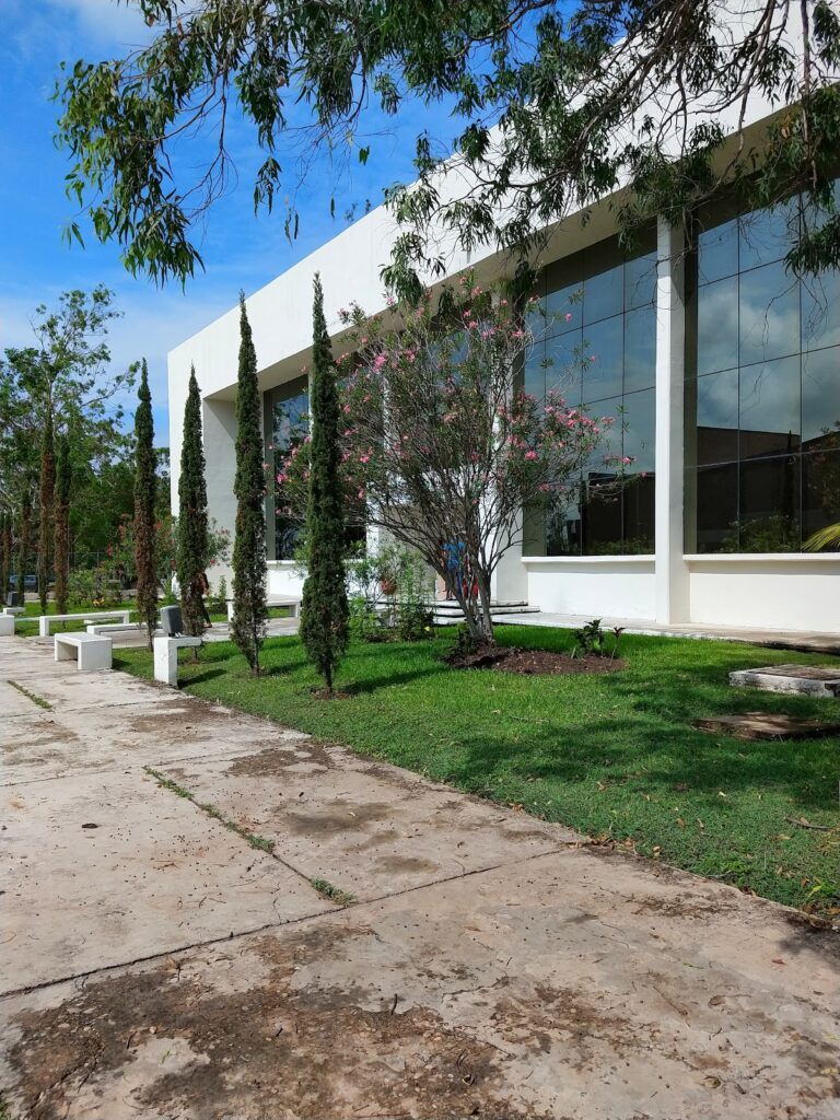 28377 cellap tampico 768x1024