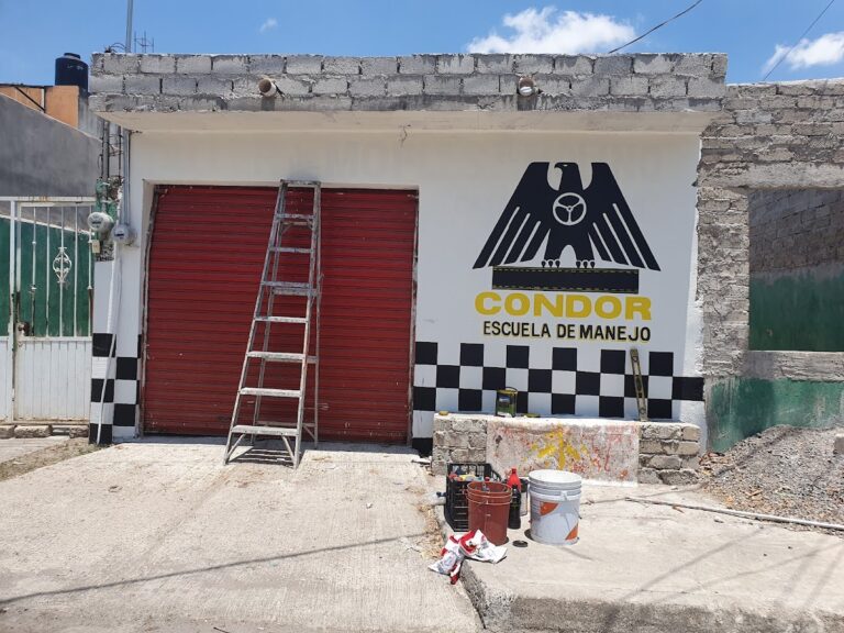 28682 escuela de manejo condor 768x576