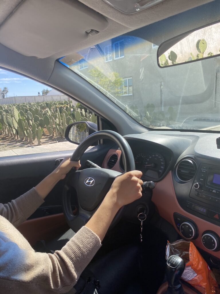 28706 kuchau cholula escuela de manejo 768x1024