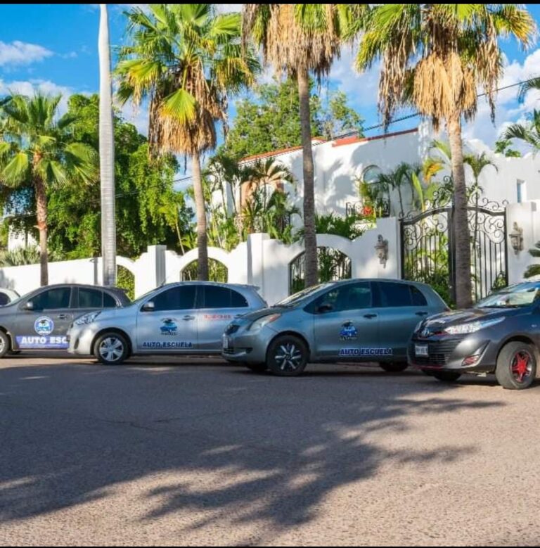 28788 escuela de manejo genesis 768x779