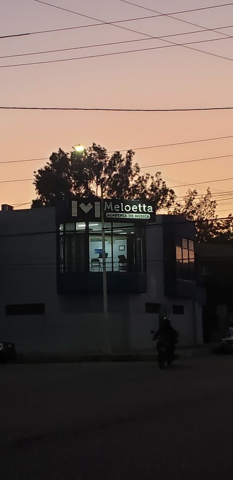 28896 academia de musica meloetta 768x1579