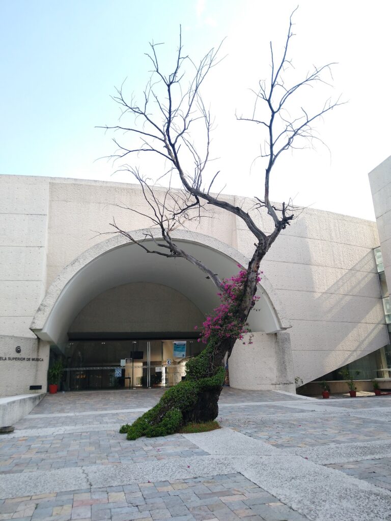 28968 escuela superior de musica campus cenart 768x1024