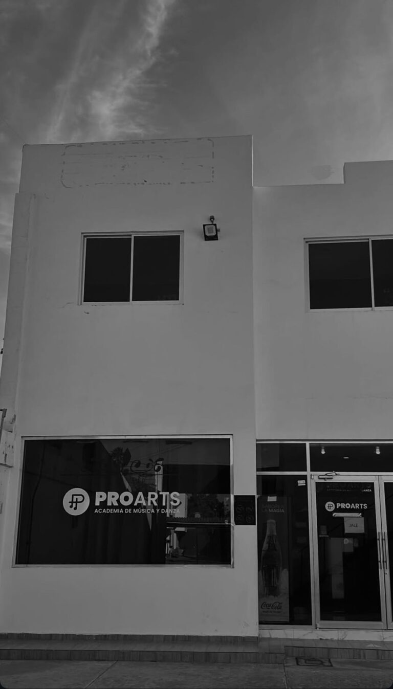 29229 proarts academia 768x1347