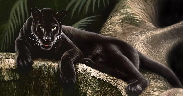 29370 sebastian de luna 8211 art studio 768x401