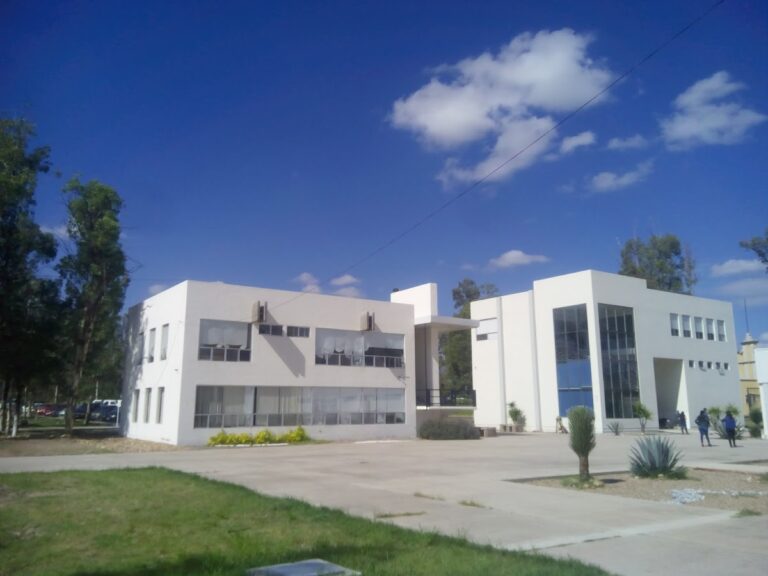 29442 escuela de pintura escultura y artesanias ujed 768x576