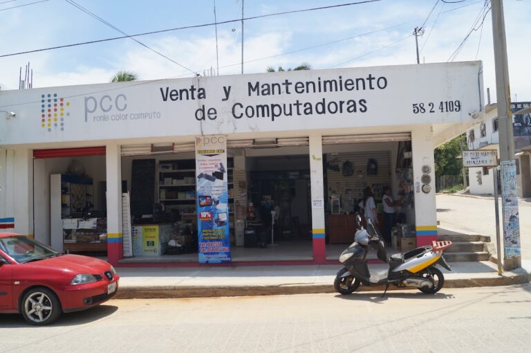 2951 pcc ponle color computo 768x510